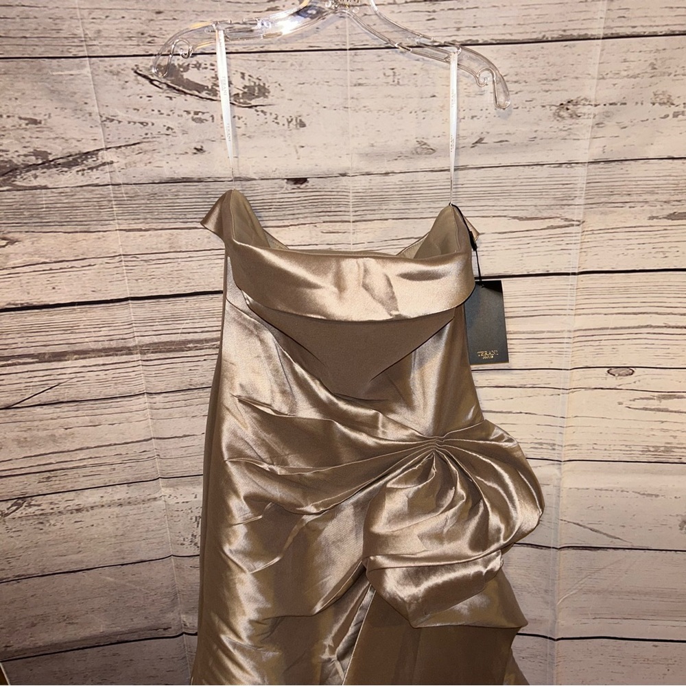 NWT Terani Gown
